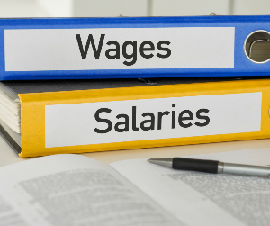 payroll wages salaries-423 payroll wages salaries-423